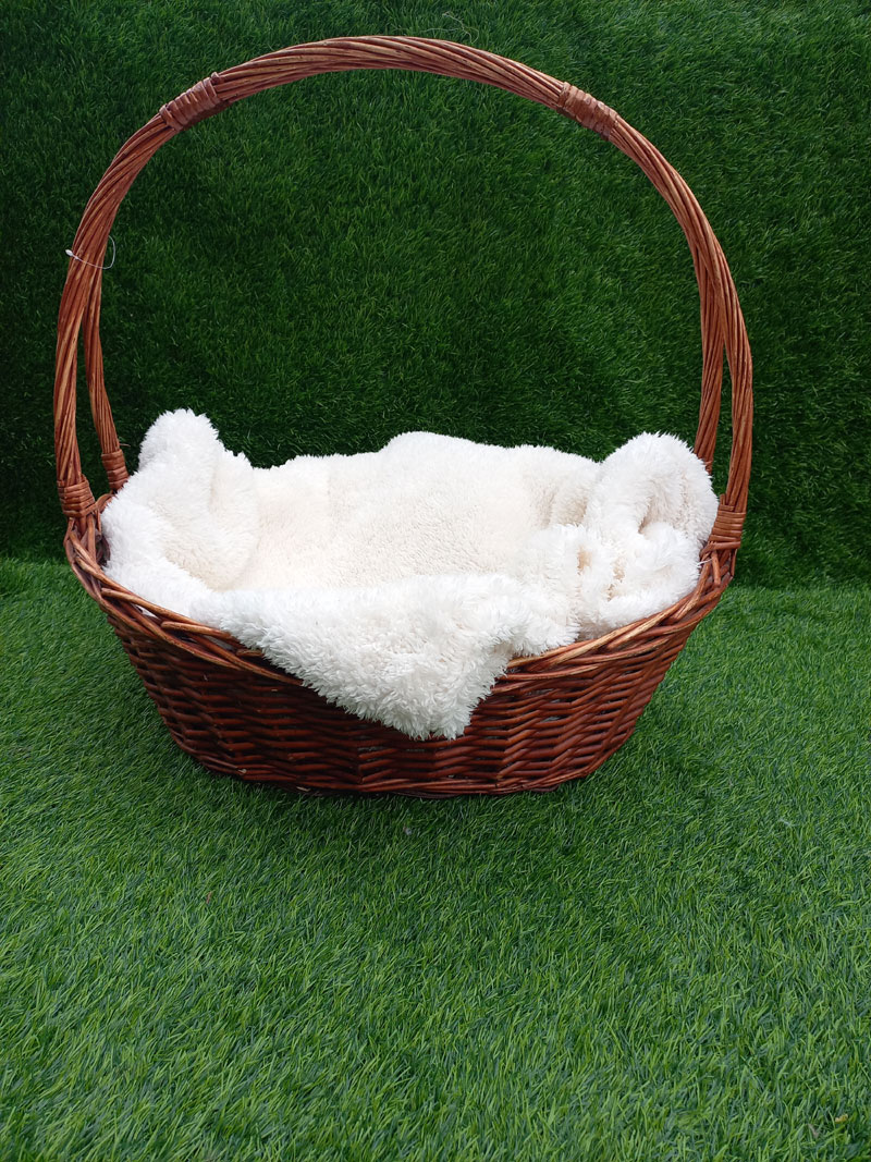 rattan Oval basket with handle ( blanket included)