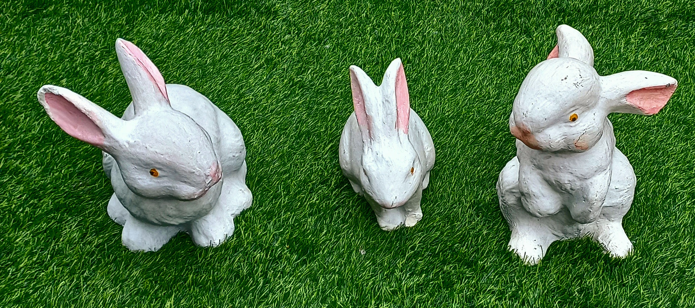 Rabbits- Farm