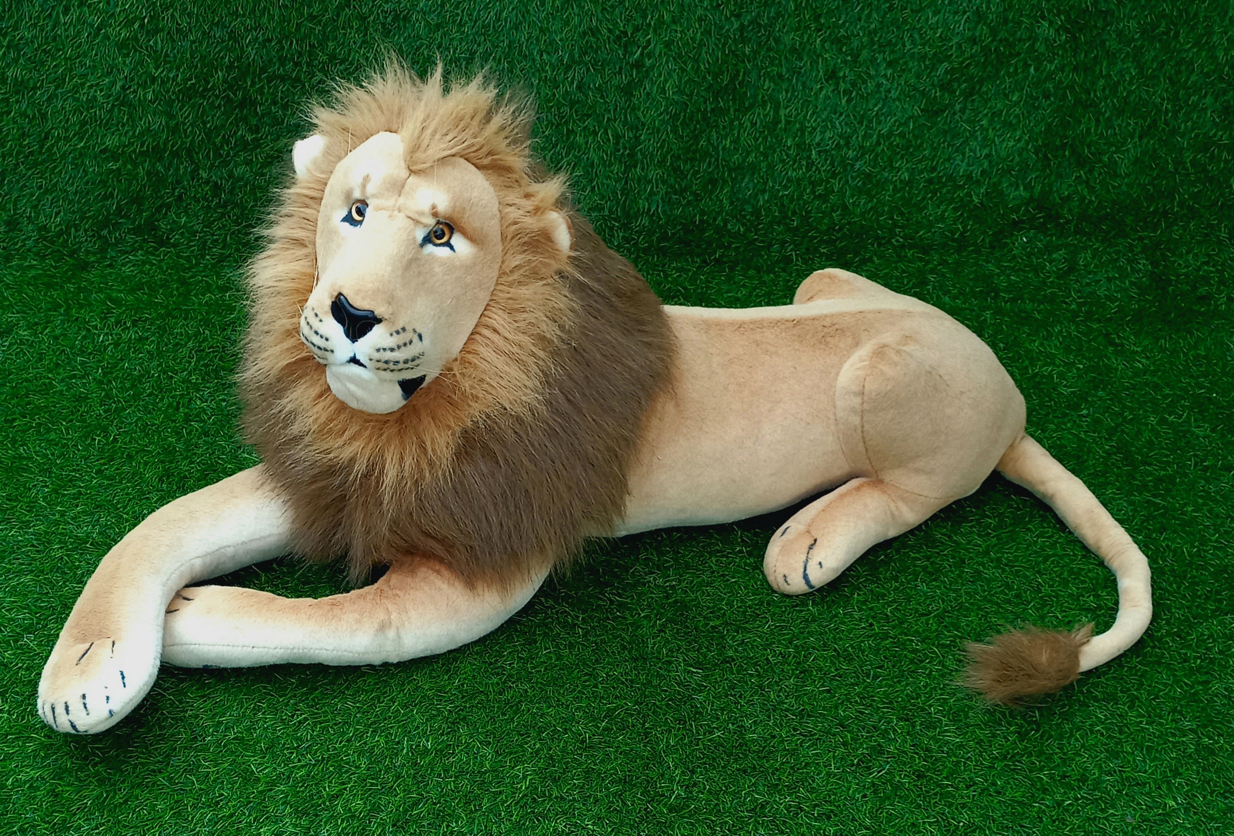 Large lion L 45 H 17