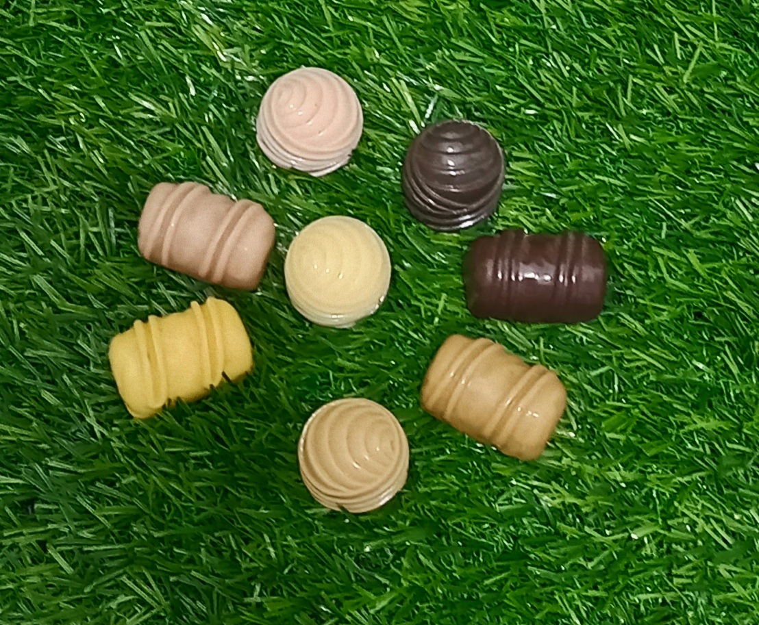 Fake chocolates / Sweet