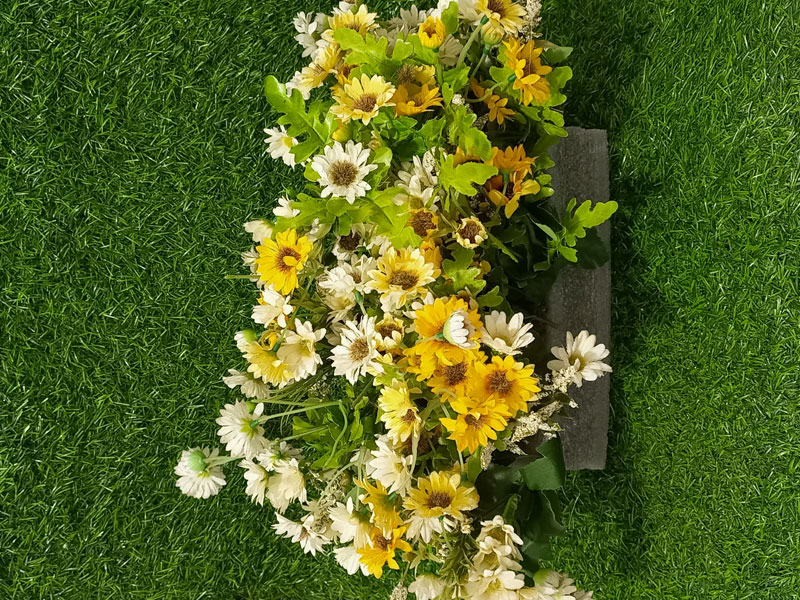 Yellow white flowers