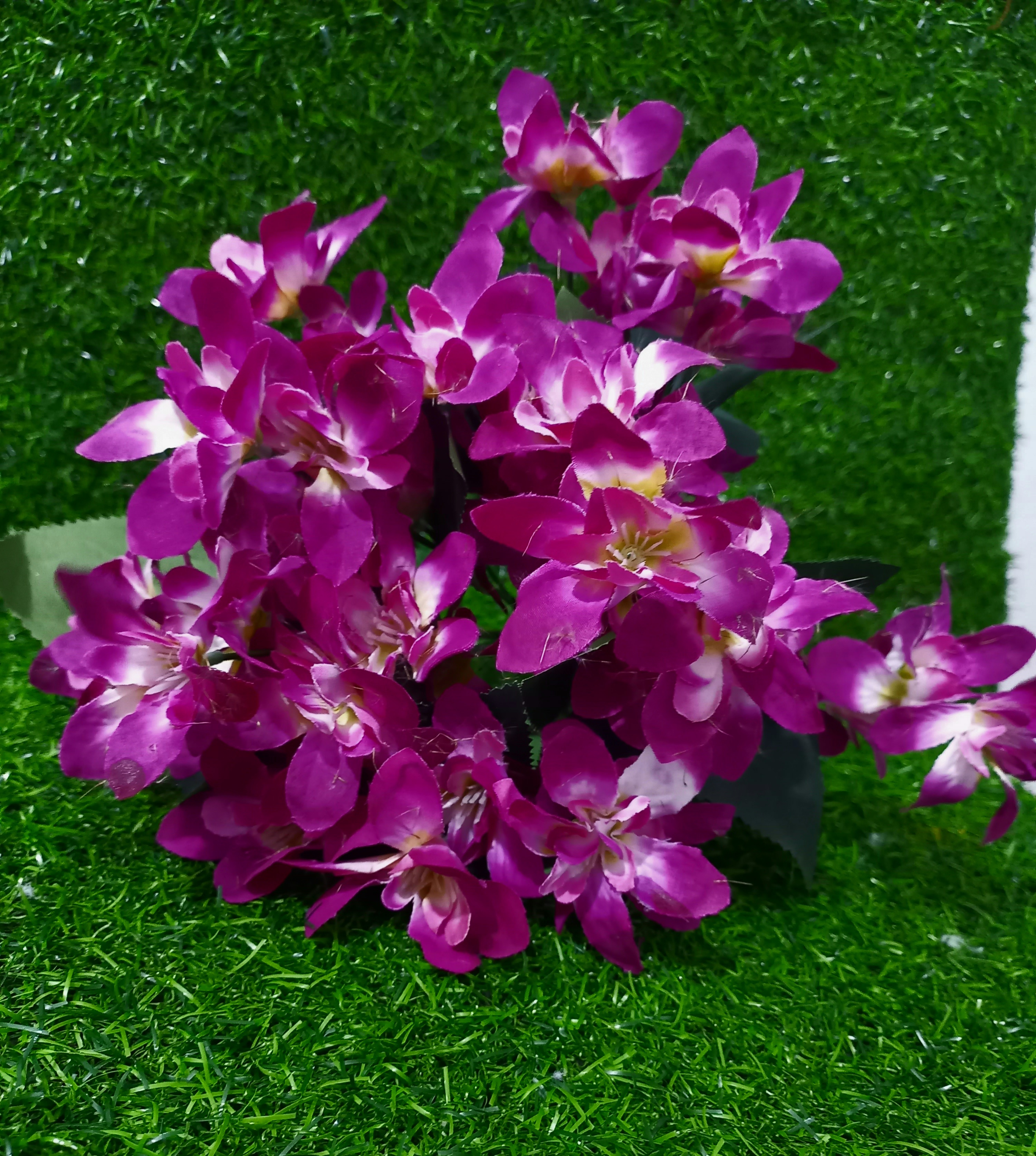 Magenta flowers