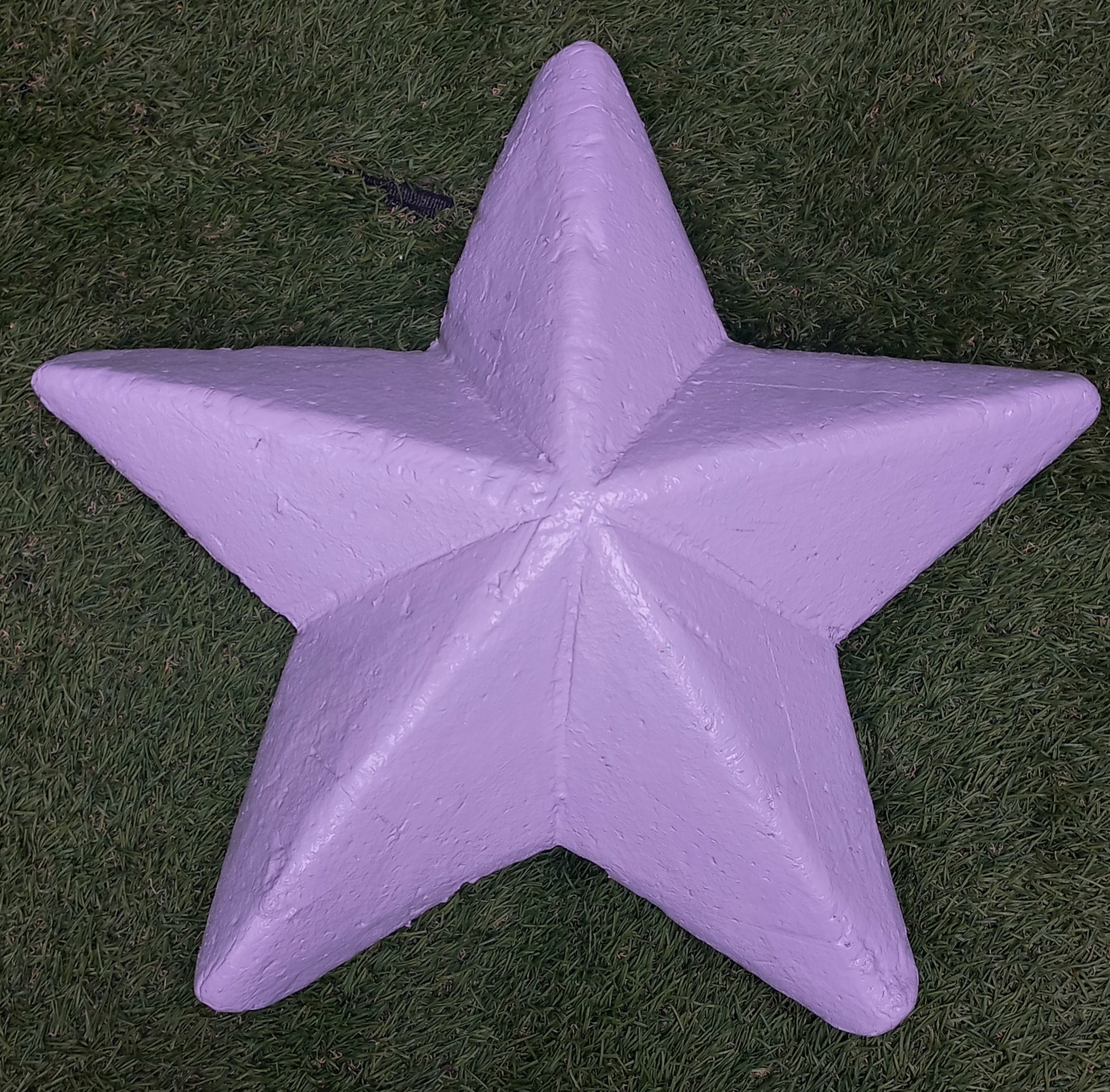 Lavender star fish-Sea