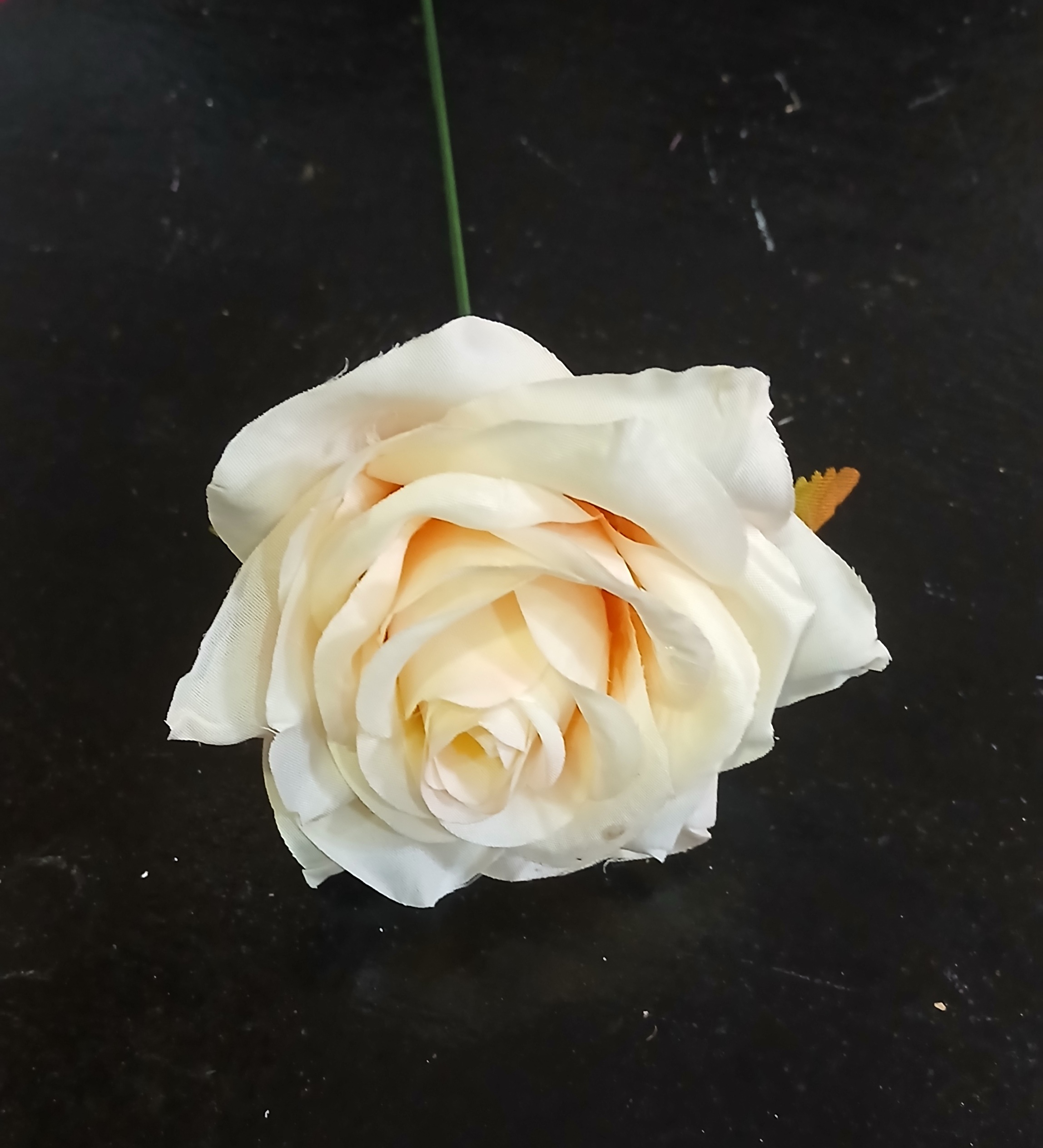 Single Rose Light Orange Flower With Stem