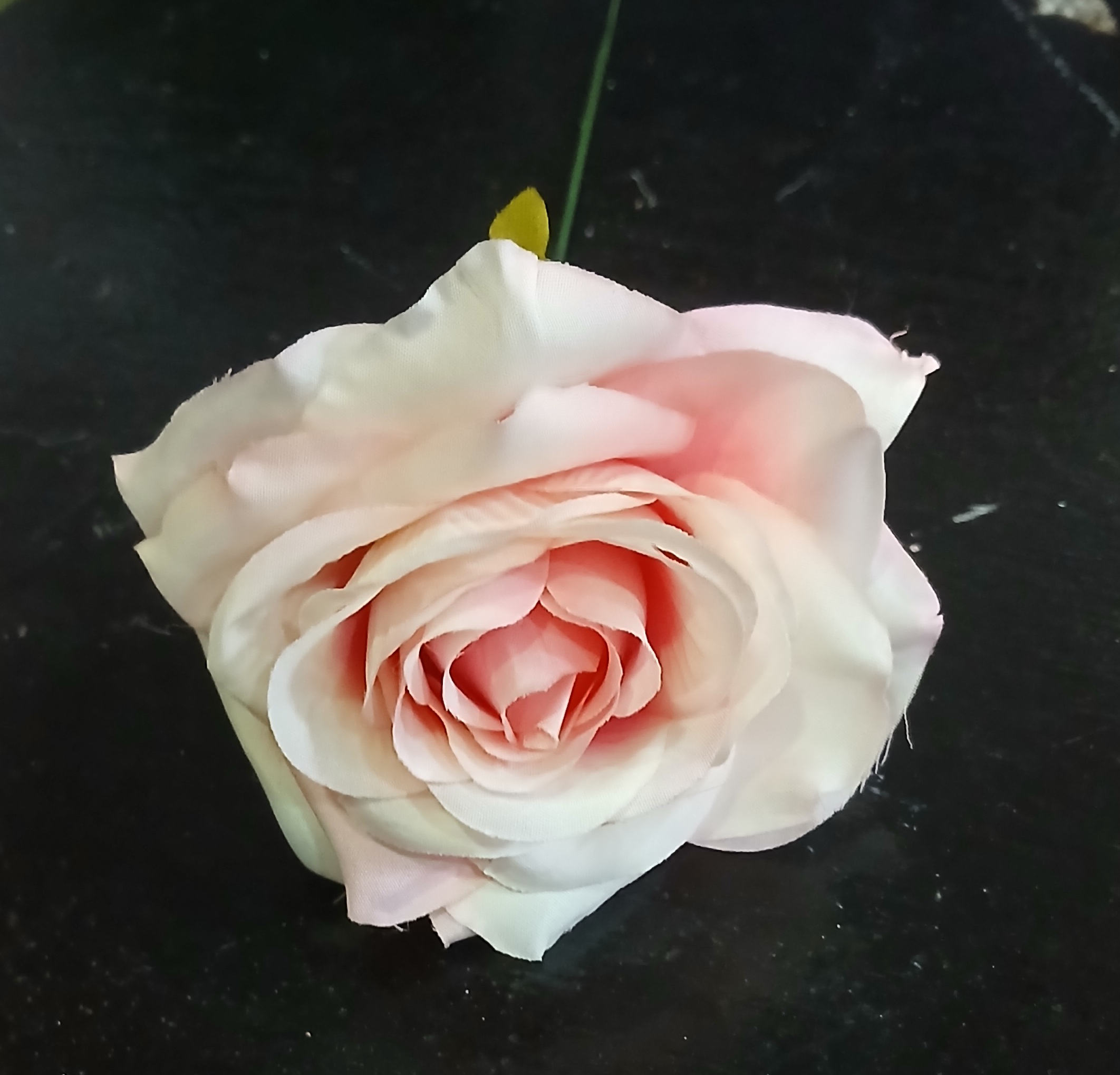 Single Rose Light Pink Flower With Stem