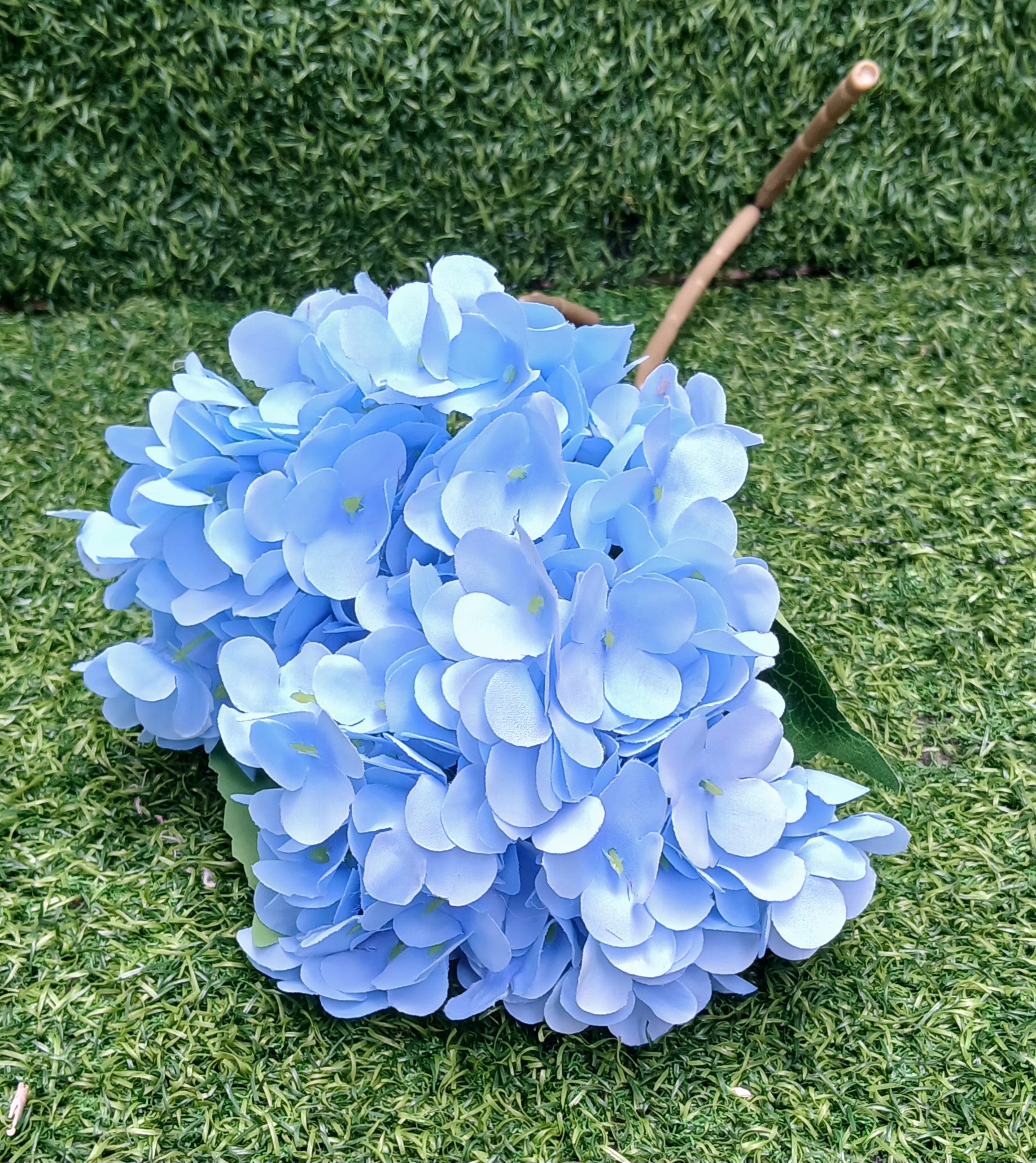 Blue Hydrangea Design 3