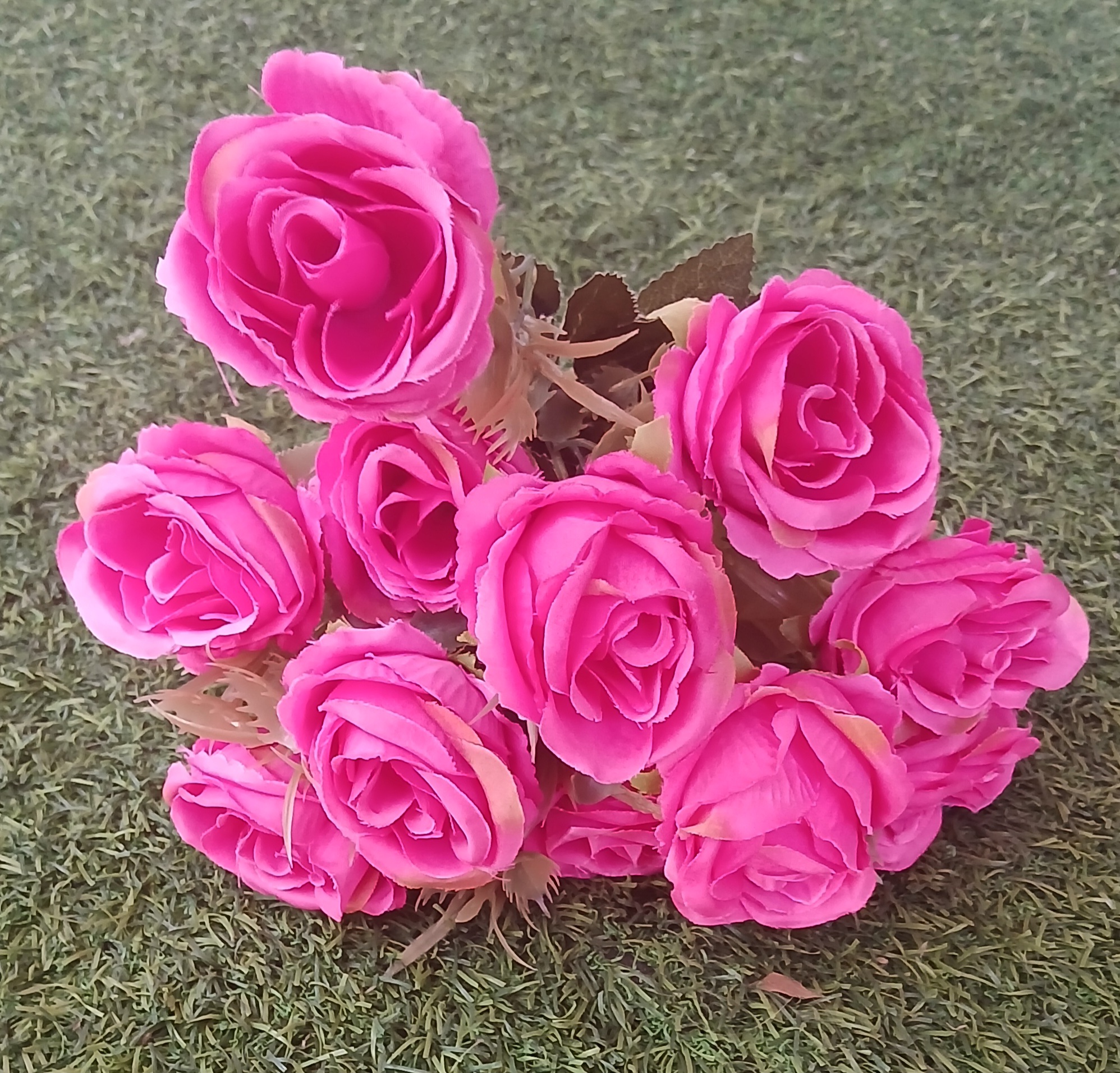 Hot Pink Rose Flowers