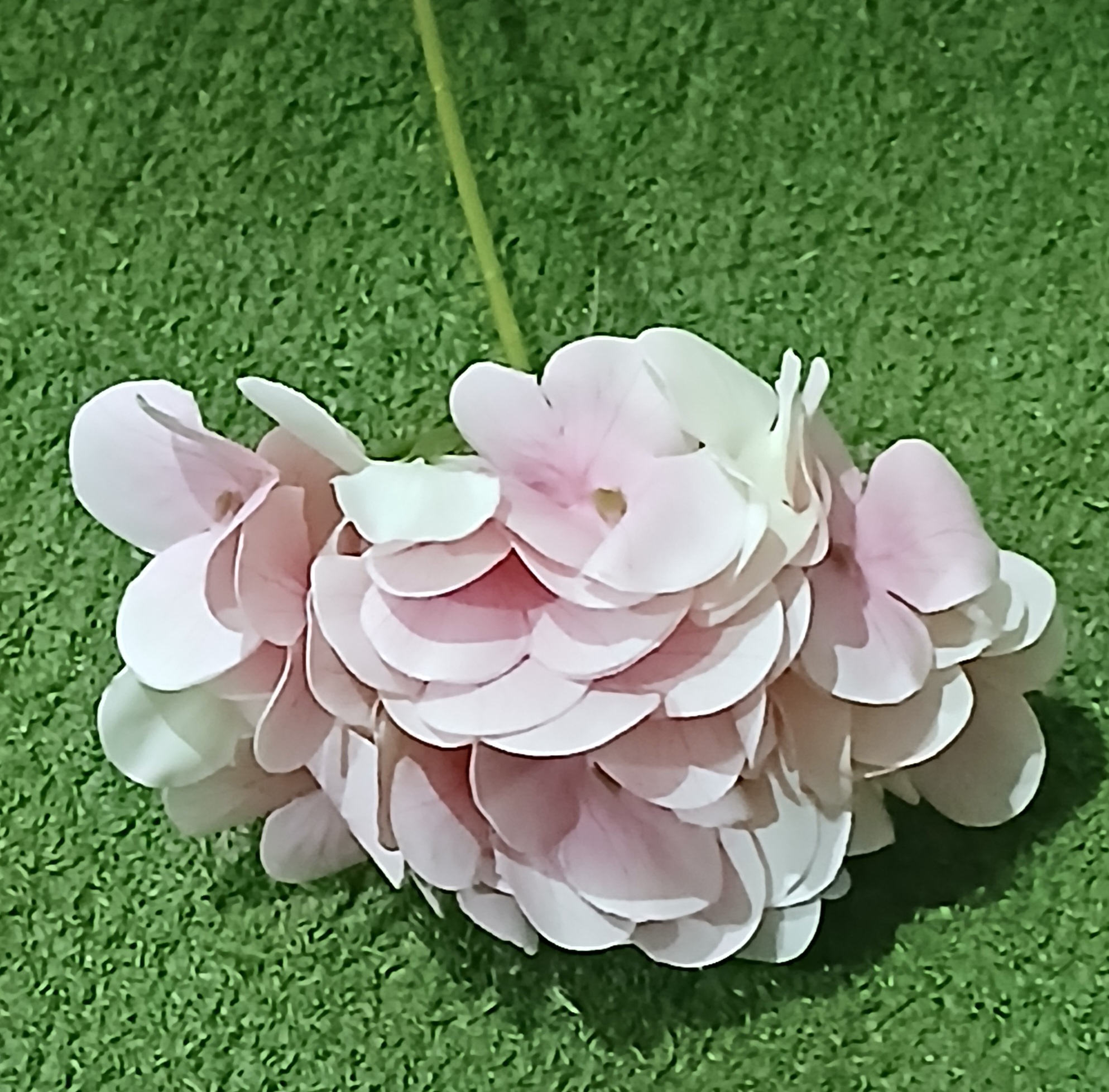 Single Hydrangea Flower  - Pink - With Stem -NNS