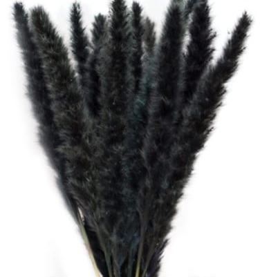 Fox tail Black