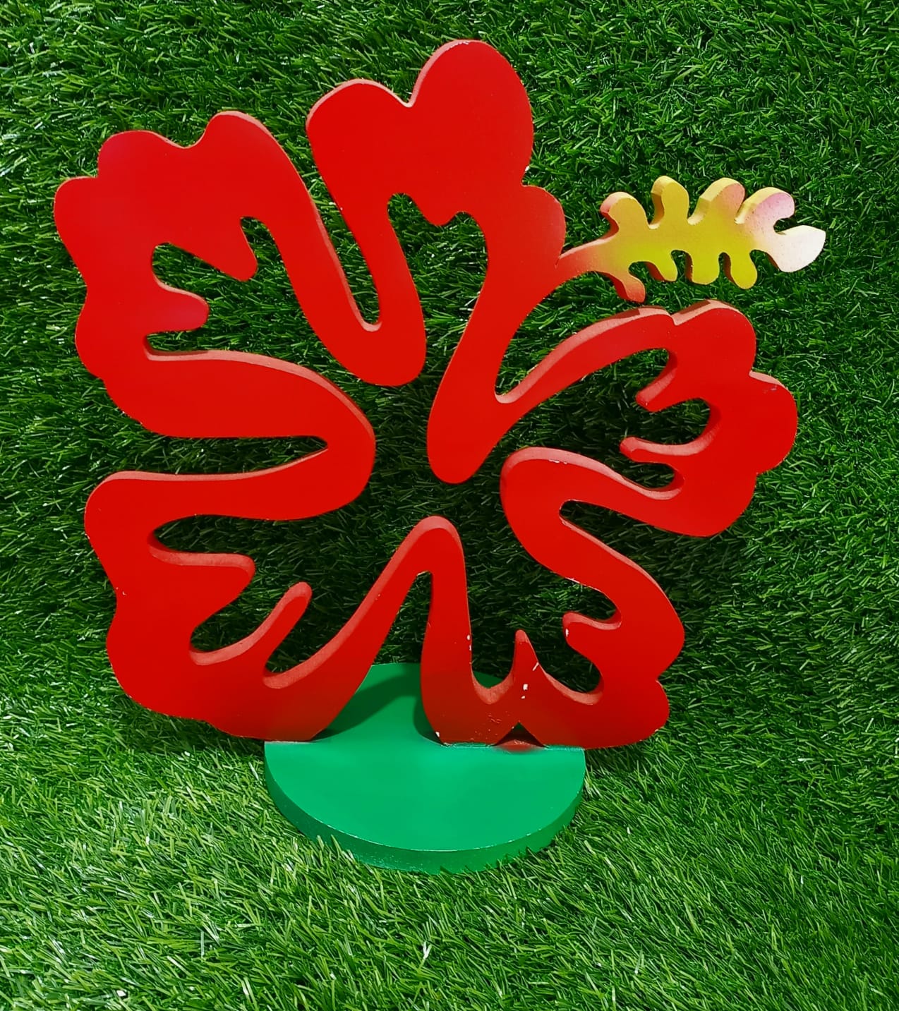 H 13 W 12