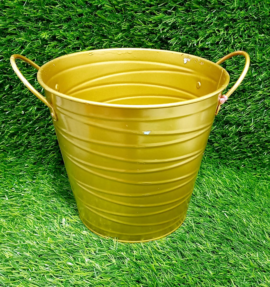 D7 H 6 (2) gold