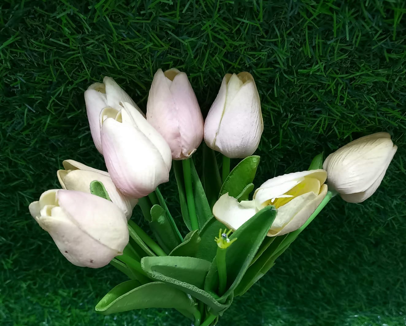 peach tulips flower