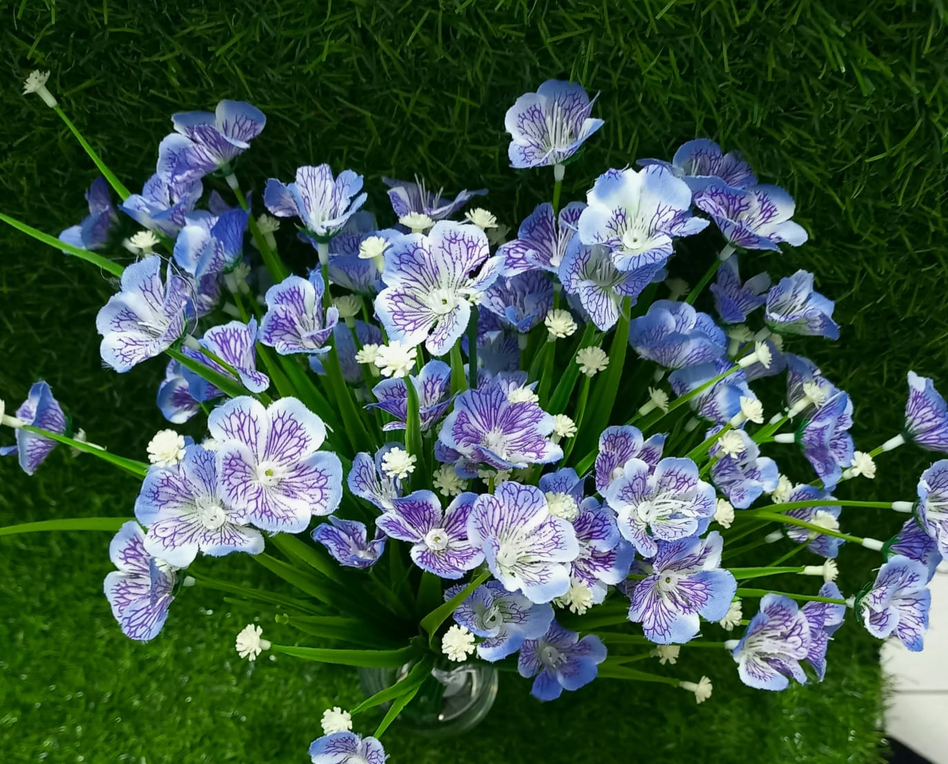 Blue small flowers