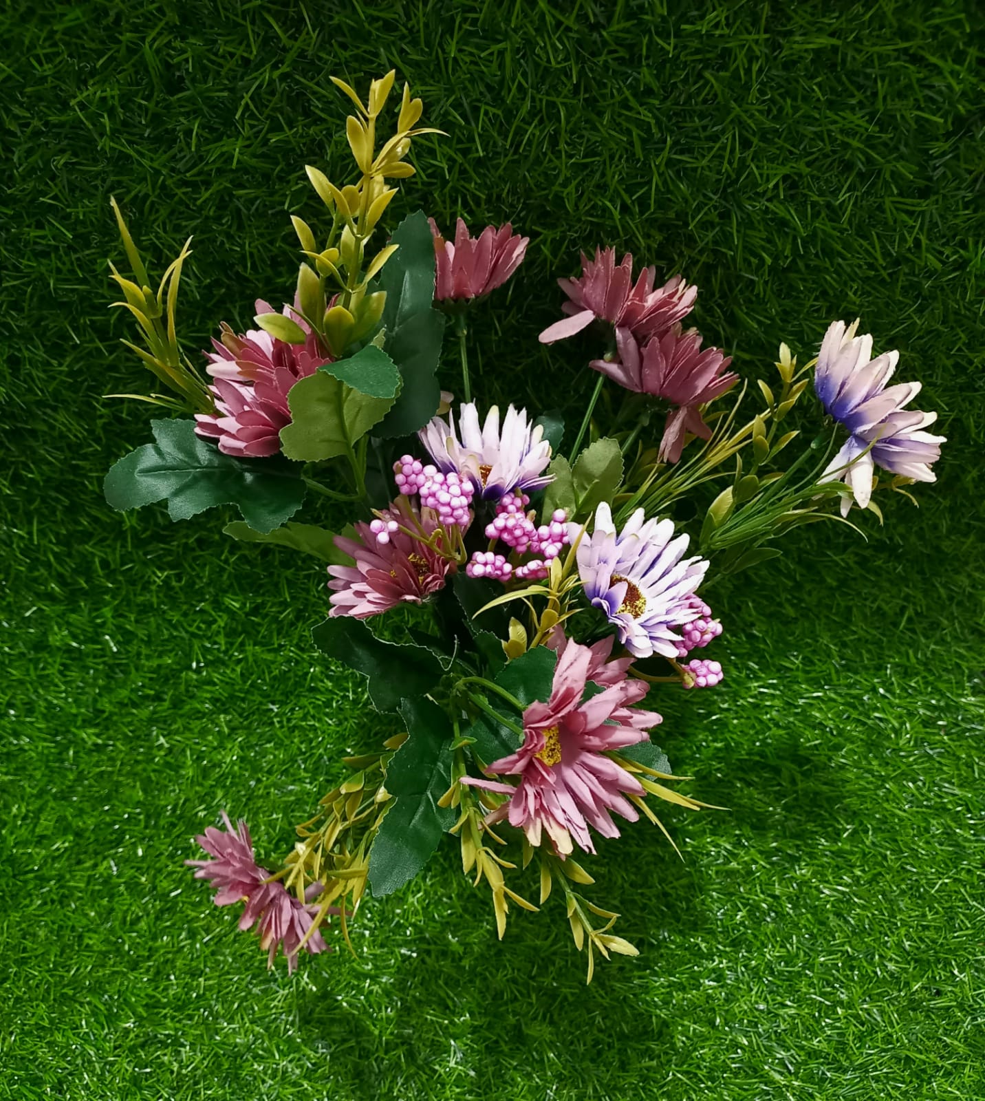 Purple Gebera flowers