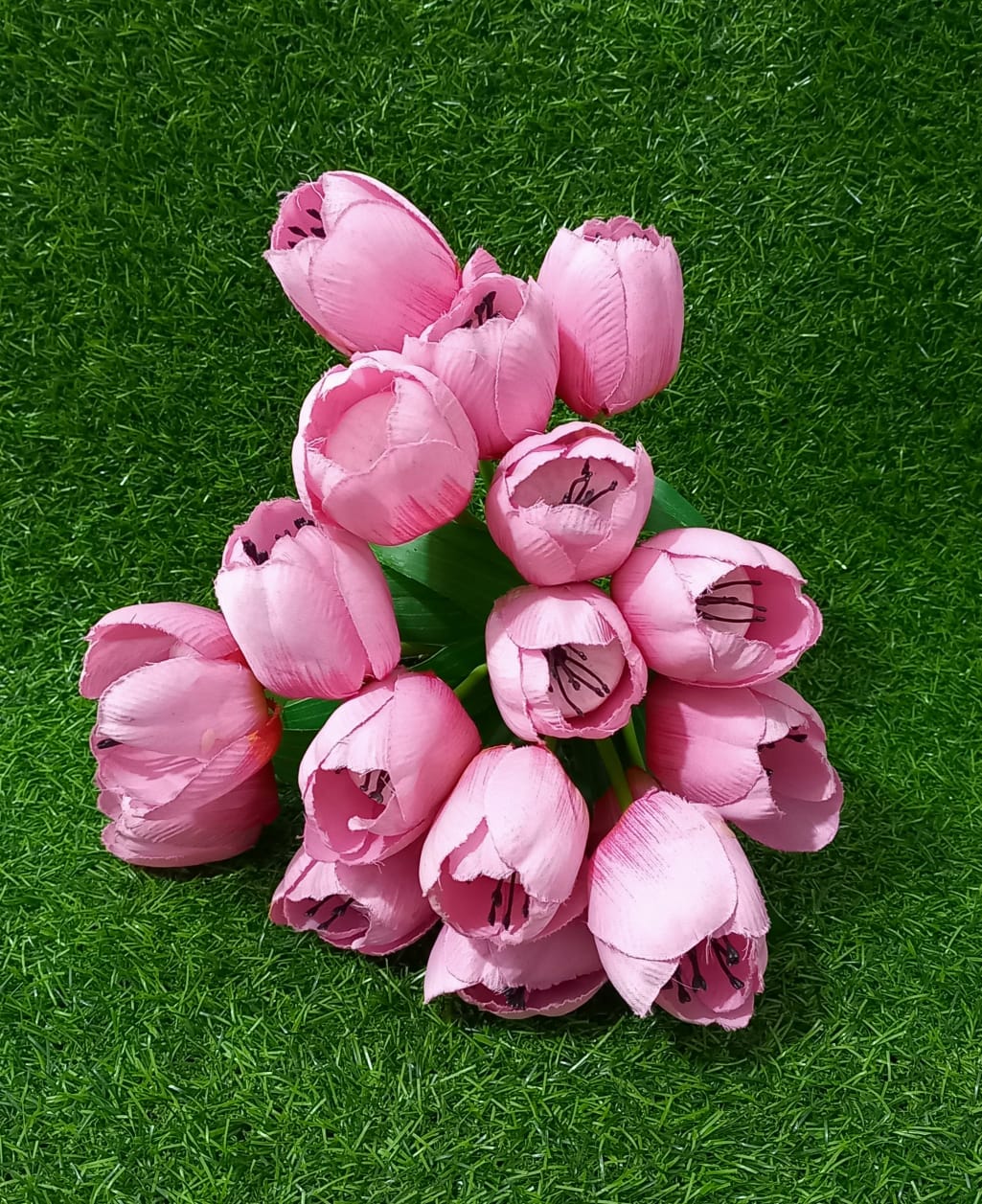 tulips pink flowers