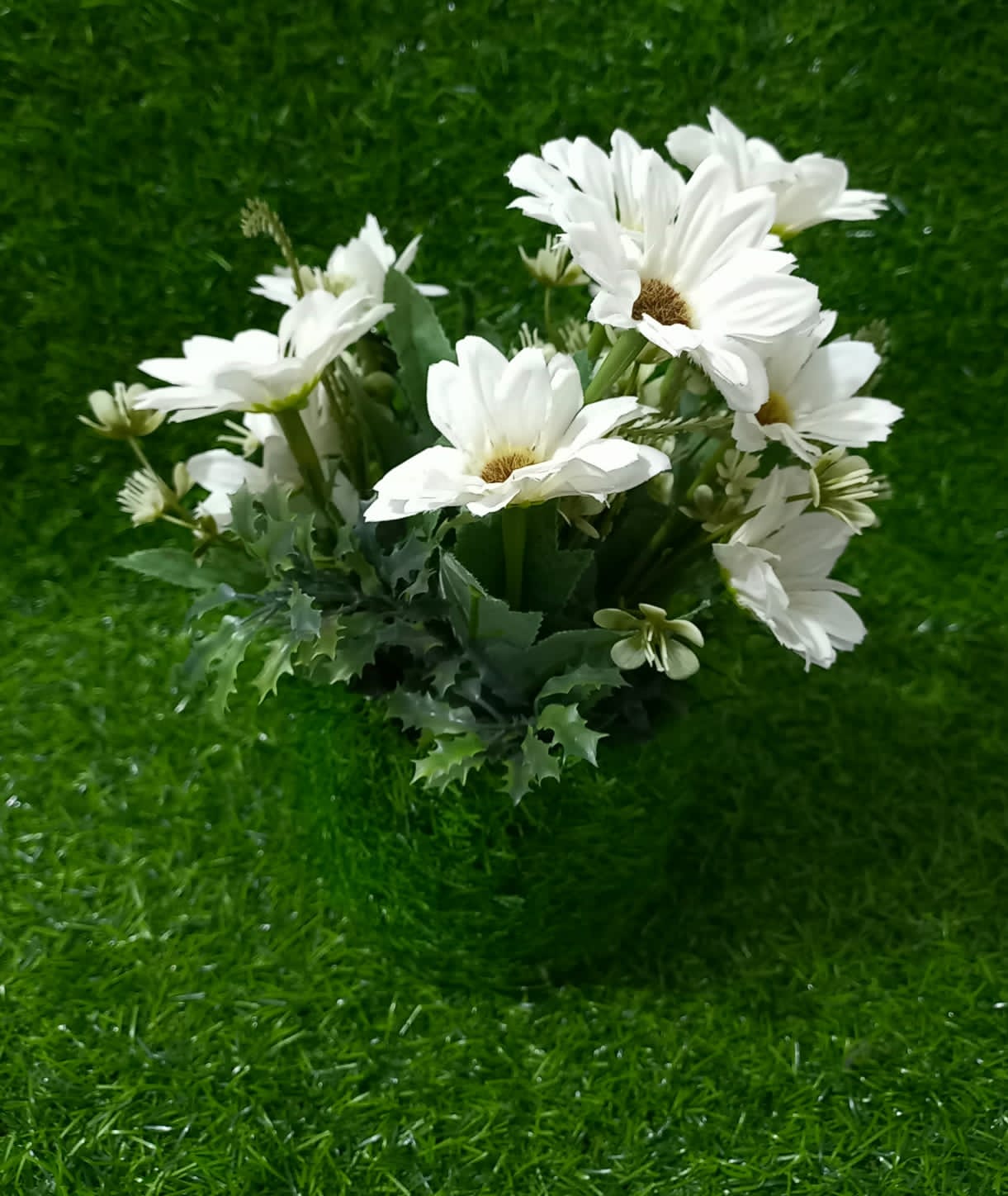H 7 W 12