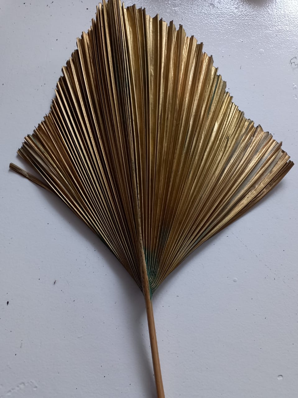 Palmyrah gold