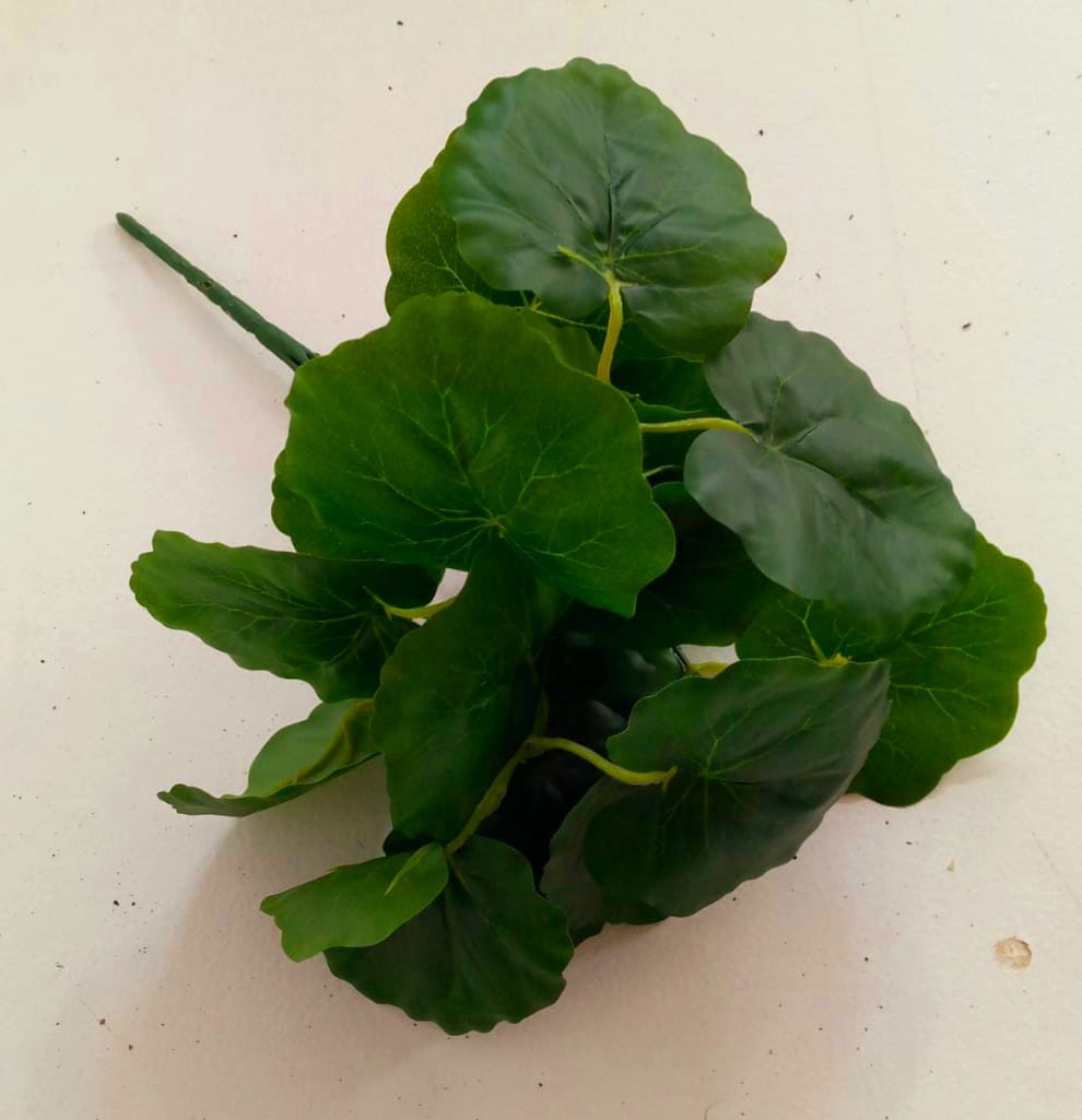 round Leaves bunch
