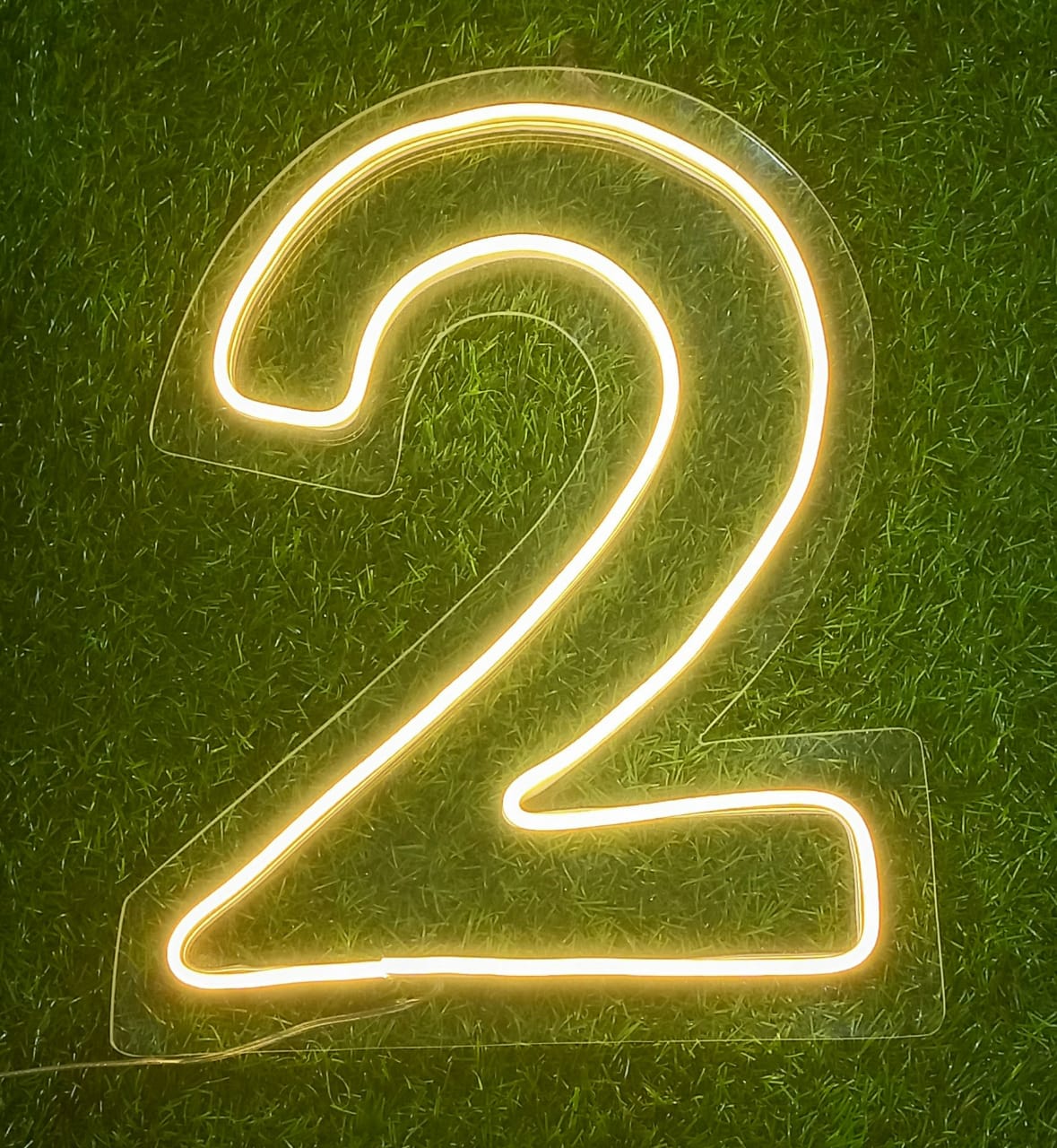Neon Light no 2 (IN STORE PICKUP ONLY)
