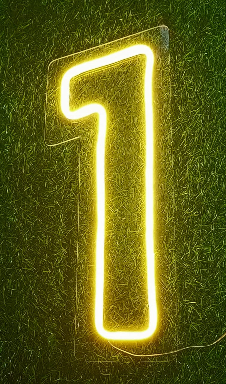 Neon Light no 1 (IN STORE PICKUP ONLY)