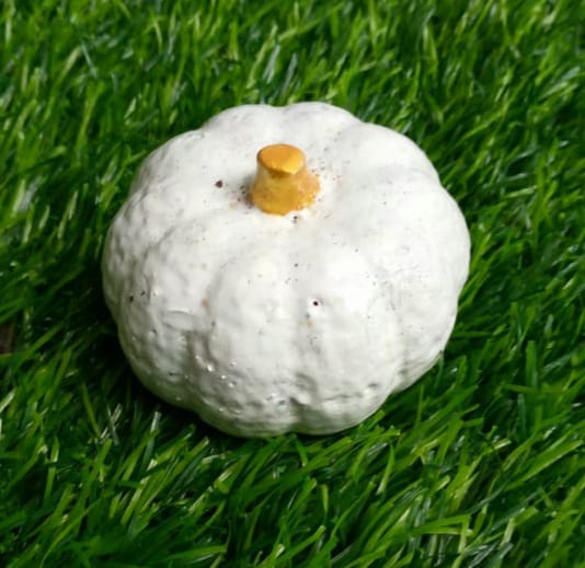 Mini pumpkins White