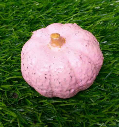 Mini pumpkins Pink