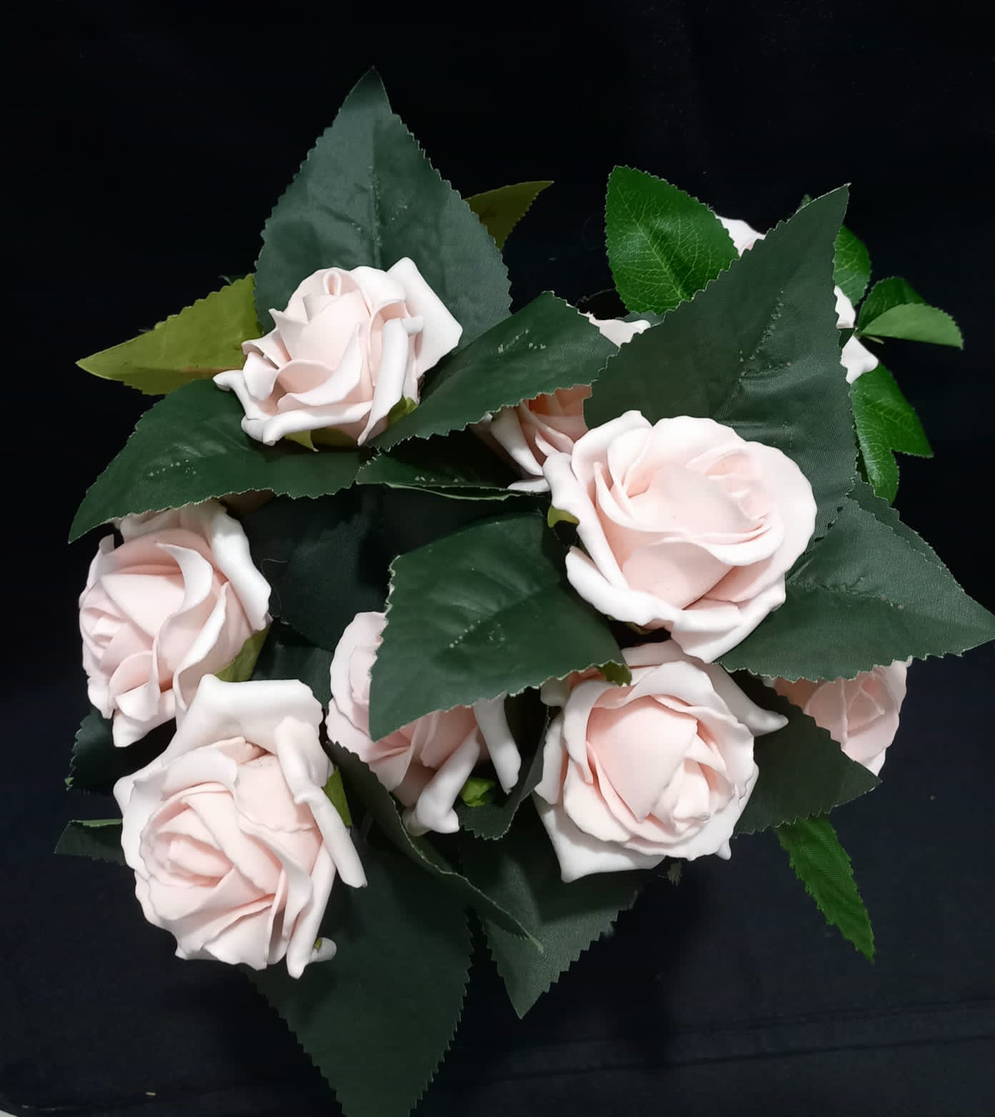 Peach roses flower