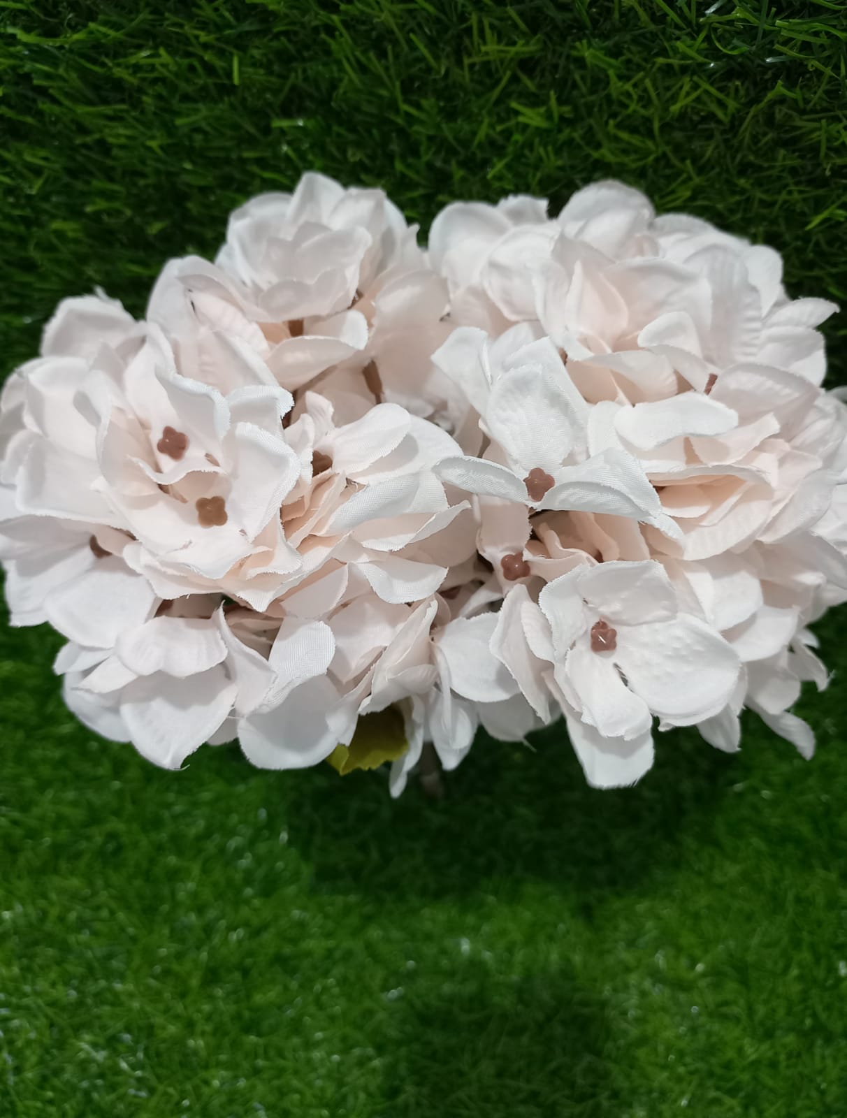 pink hydrangea flower