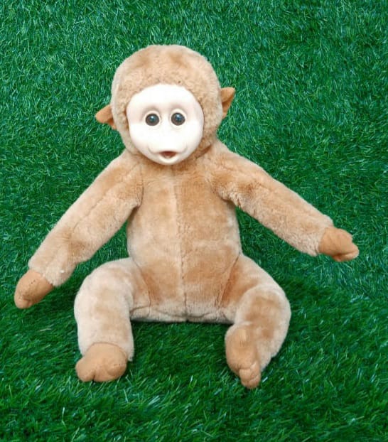 Baby Monkey-Animals
