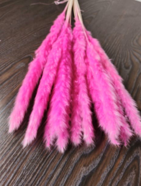 Fox Tail Dark Pink
