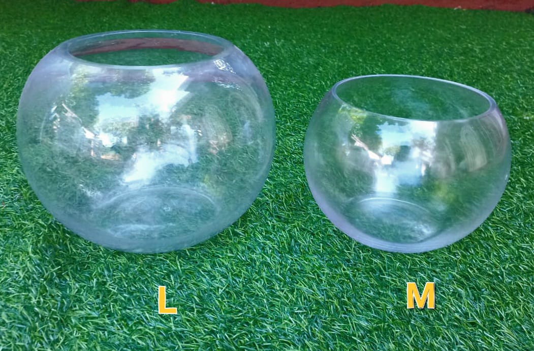 Diameter : 5.5 Inches
Height 8 Inches