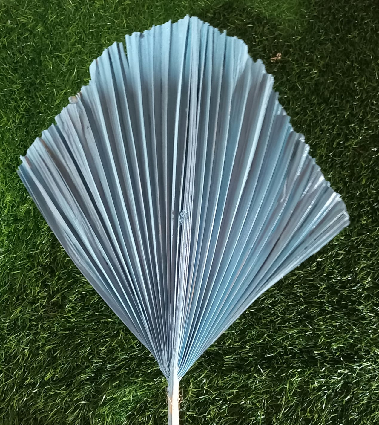 Palmyrah Blue