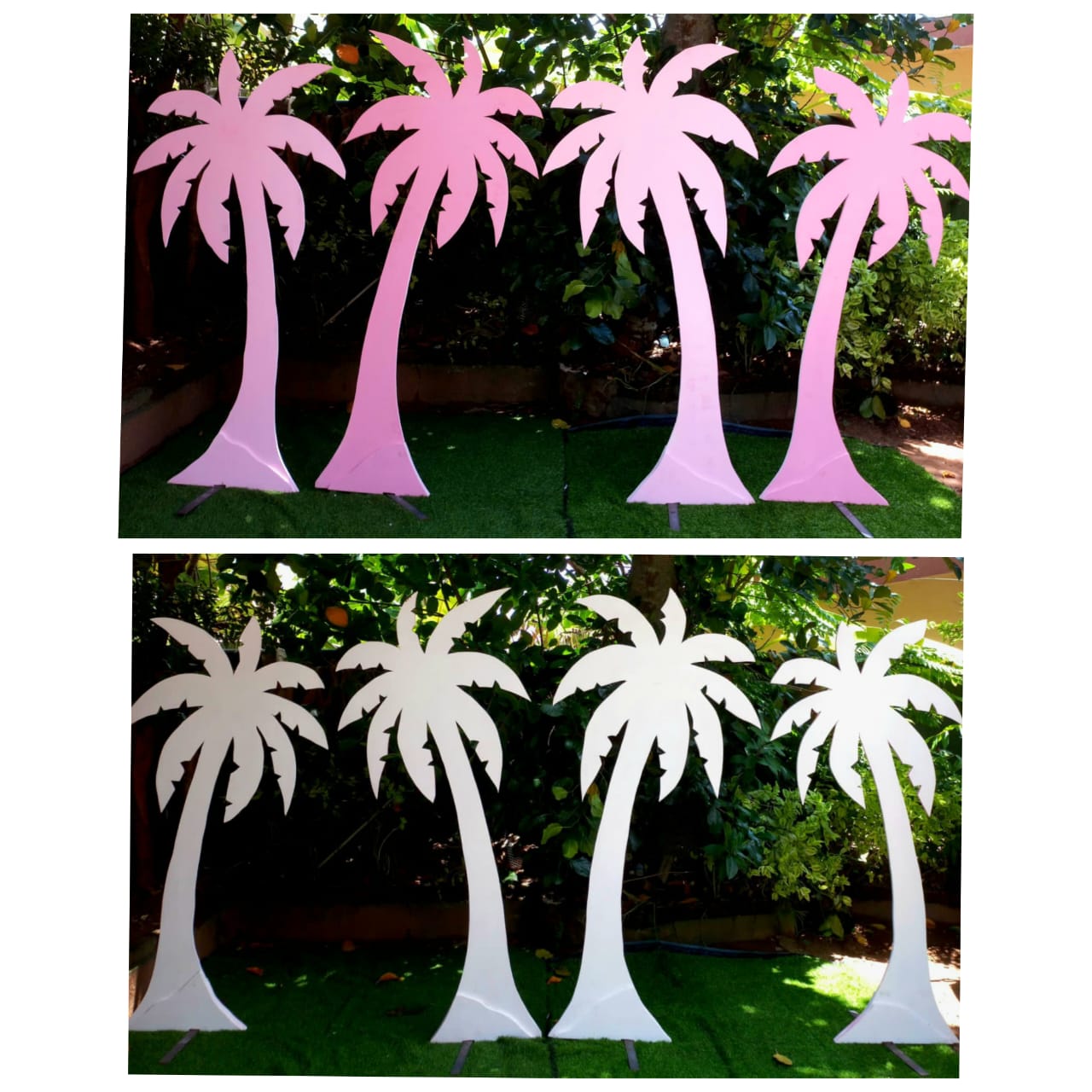Each 01 Tree
Height : 6 Feet
Width ; 3 Feet