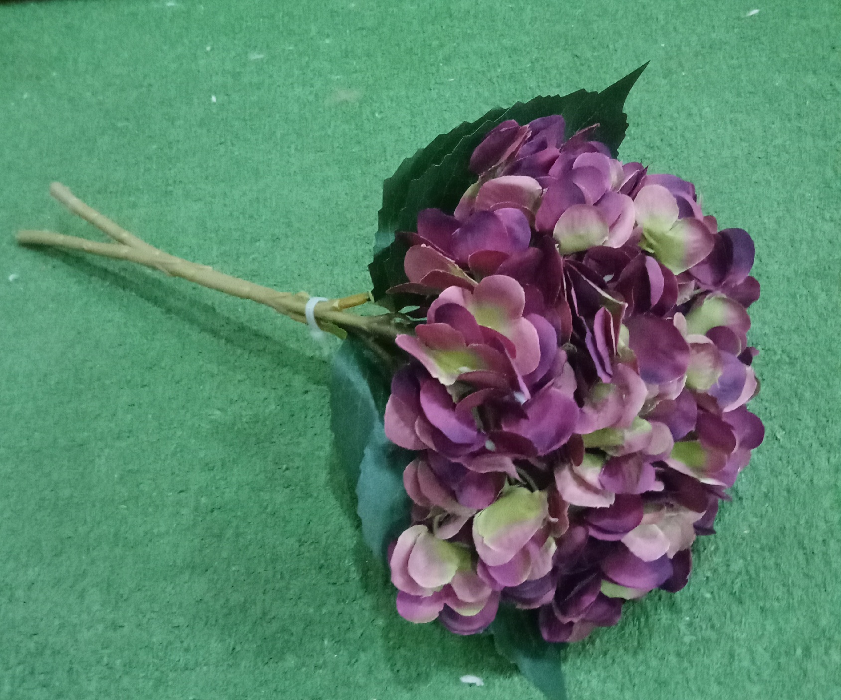 Maroon Hydrangea Flowers