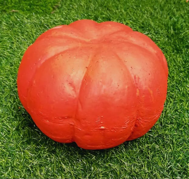 Height : 5 Inches
Diameter : 5 Inches