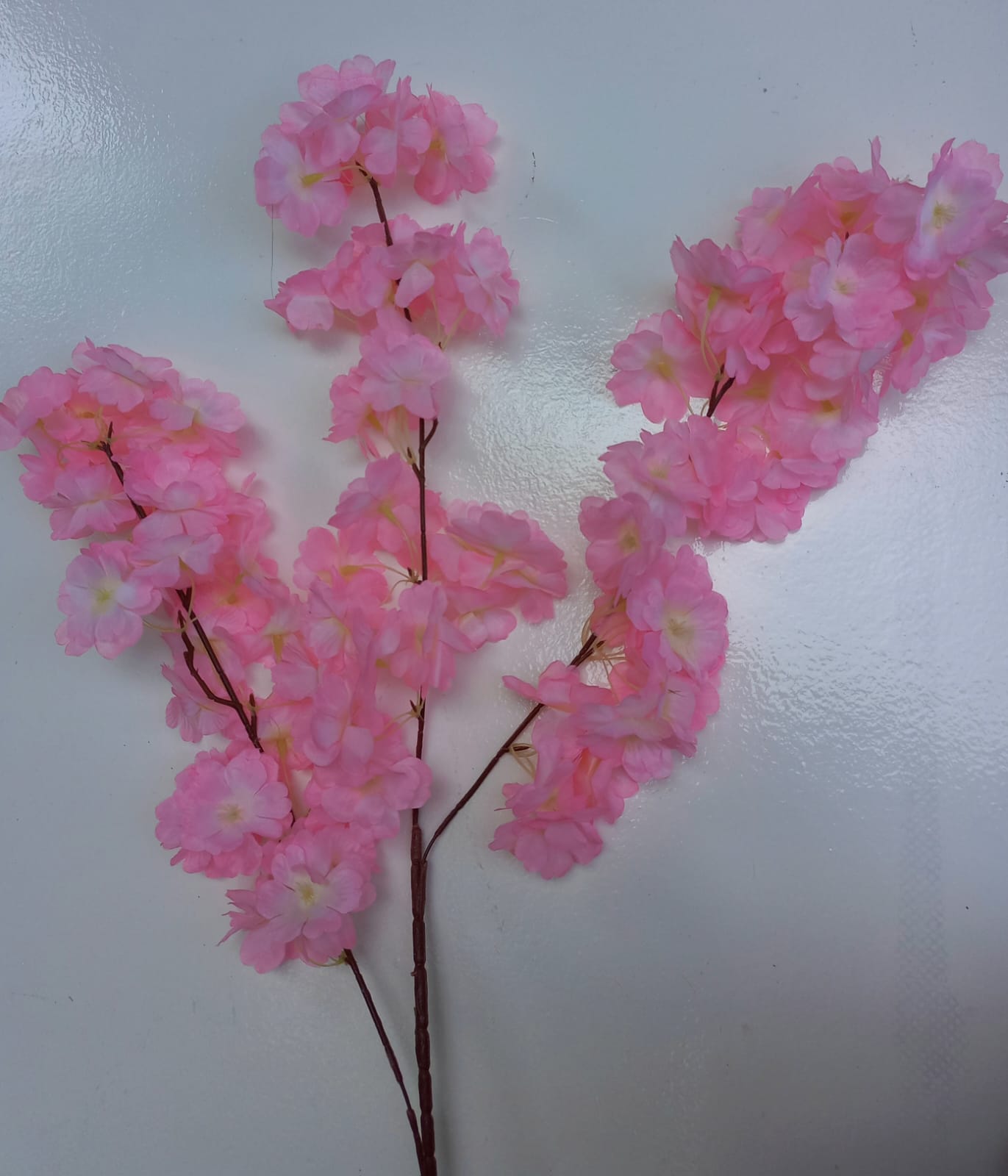Cherry Blossom Dark Pink Flower