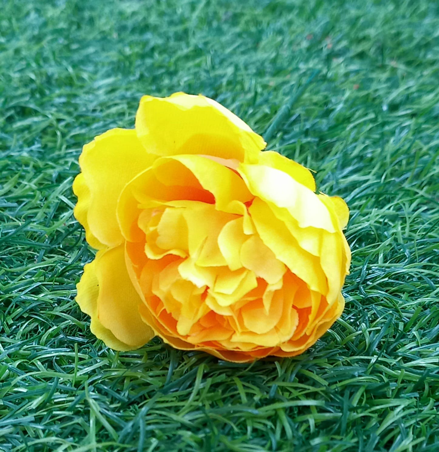 Single Yellow Flower