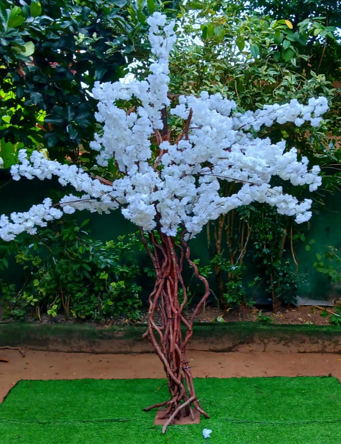 Cherry Blossom Tree - White ( Add PV 431 X3 )