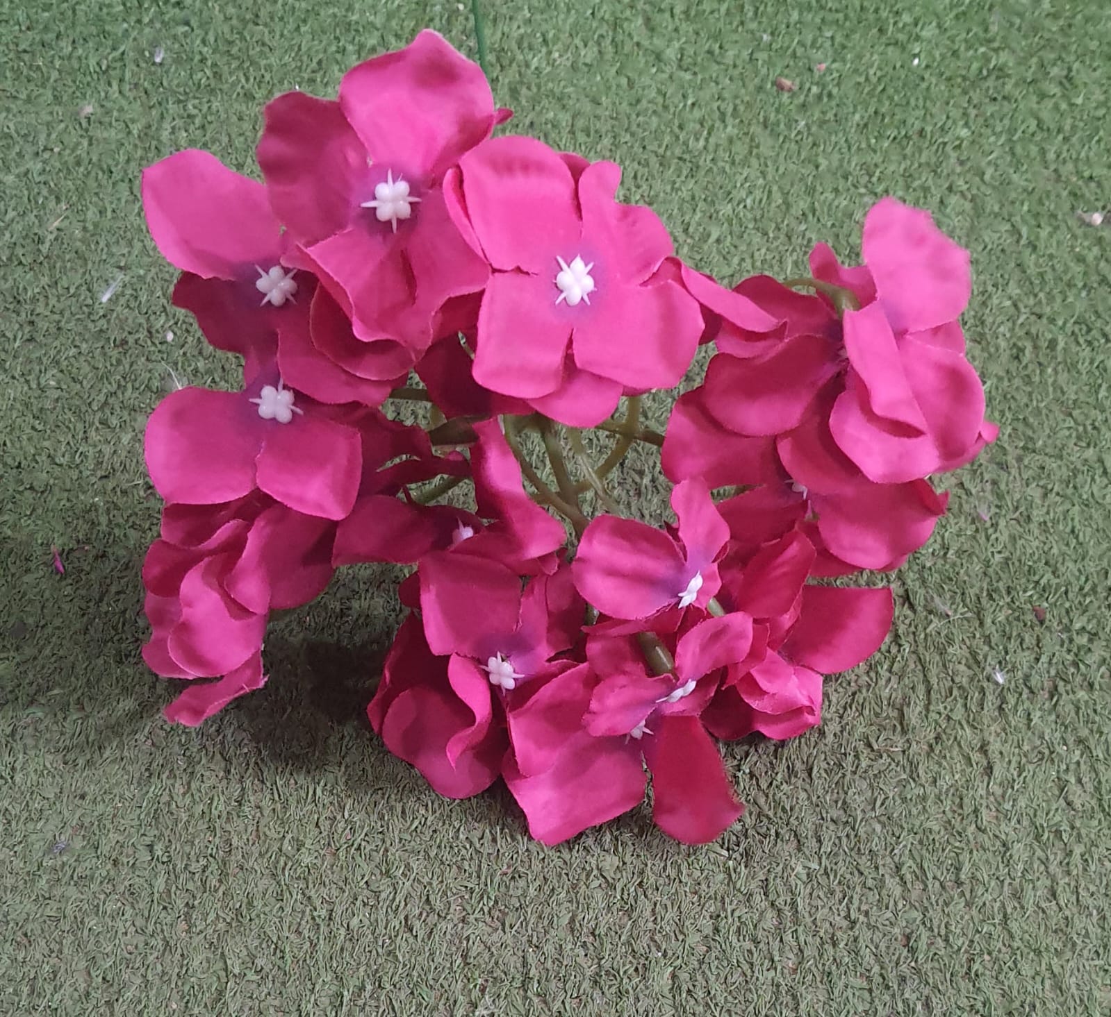 Hot Pink Single Flowers With Stem