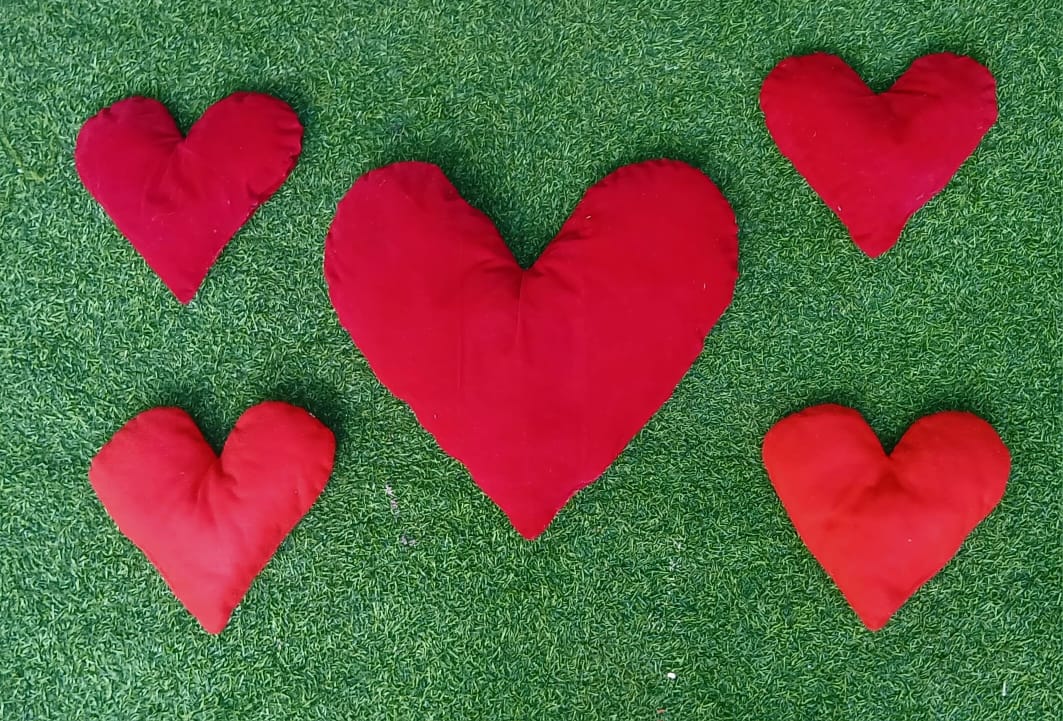 05 Pcs Red Heart Cushions Set HH
