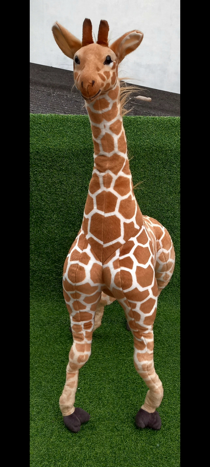 4 FT