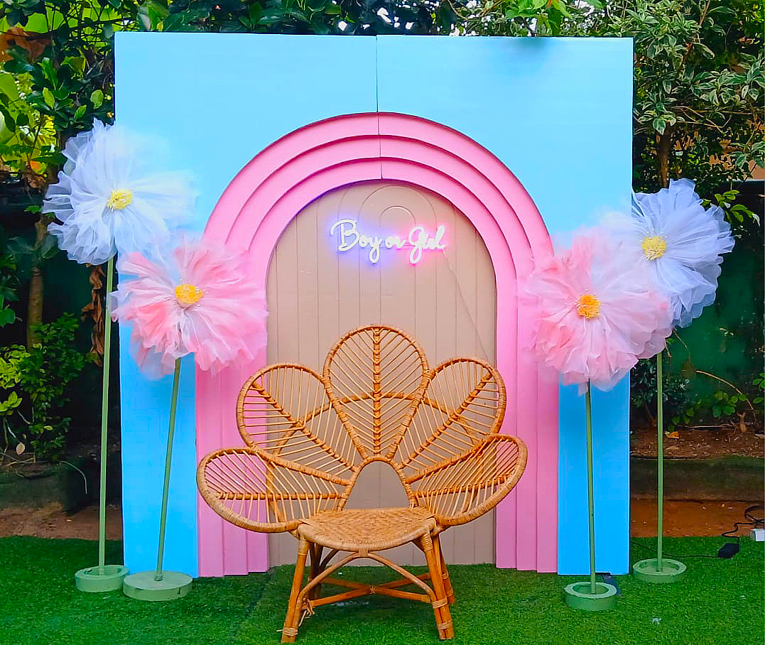 Baby Shower SetUp / Pastal Pink / Pastal Blue / Organza Flowers / Gender Reveal