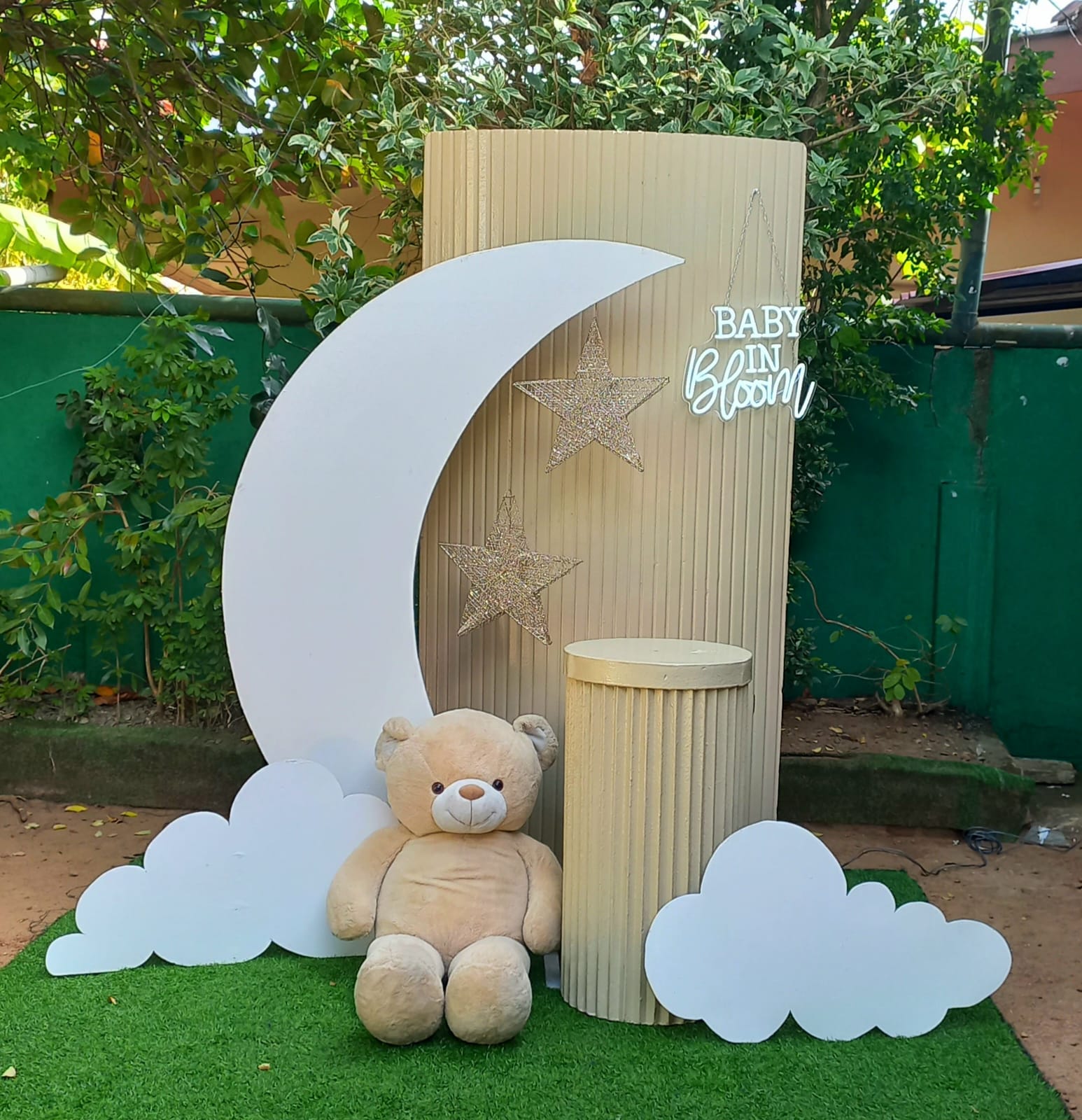 OH Baby SetUp / Baby In Bloom / Off White / White / Gender Reveal