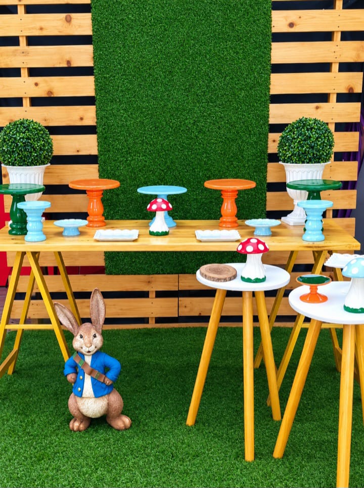 Peter Rabbit Setup 03