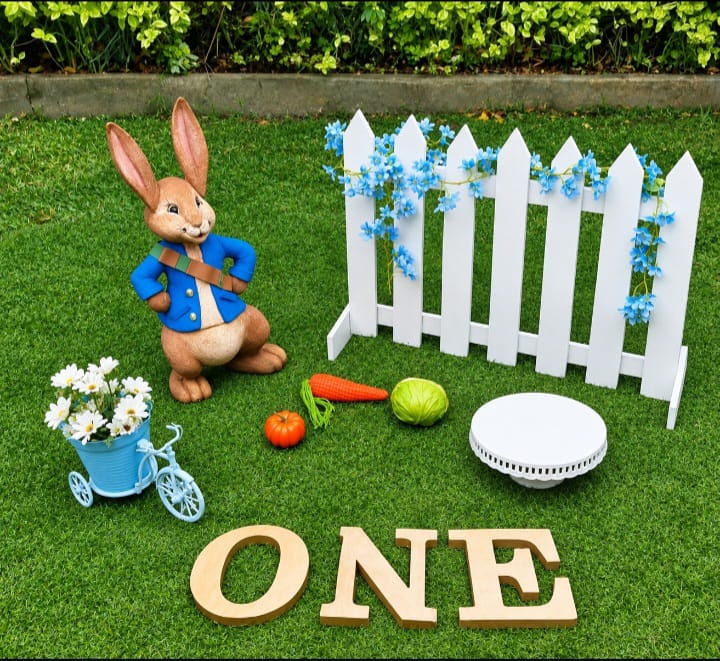 Peter Rabbit Setup 02