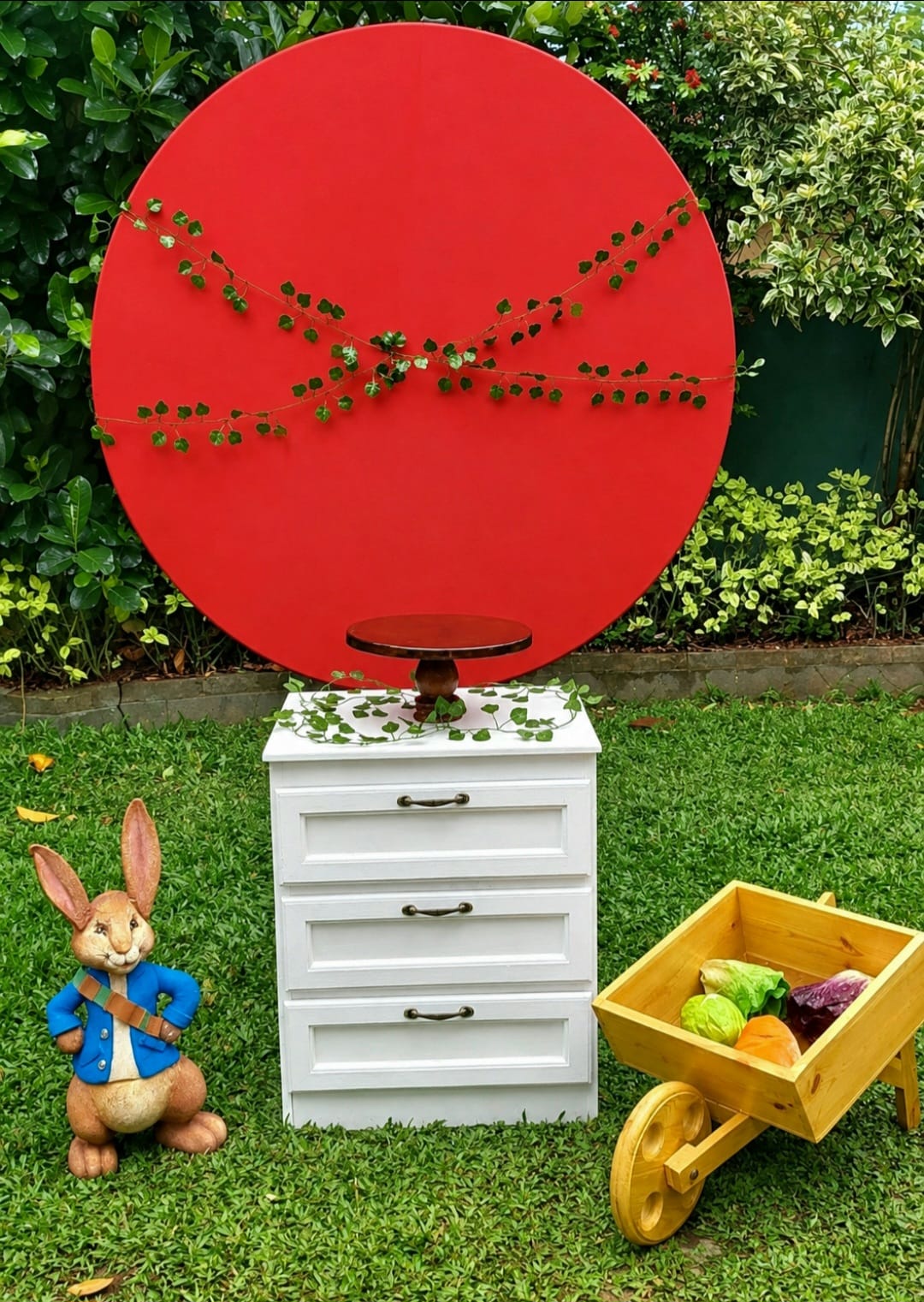 Peter Rabbit Setup 5