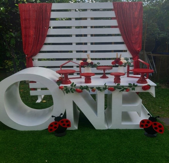 Lady Bug Theme 01 /one/1st/red